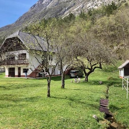 Appartamento Roja House Soča Esterno foto